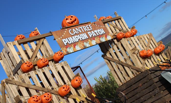 Pumpkin Festival @ Cantref 2026 Wales